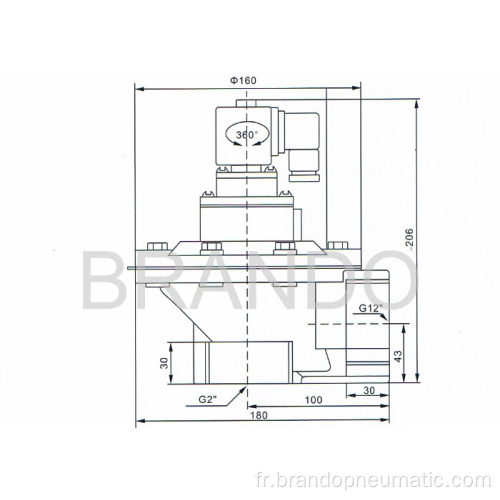 Clapet de pulsation de DMF-Z-50 de 2 pouces